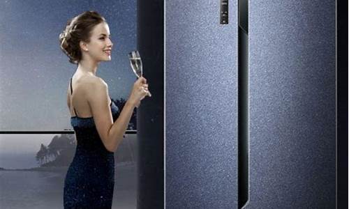海信变频冰箱和美的_海信变频冰箱和美的冰箱对比_1