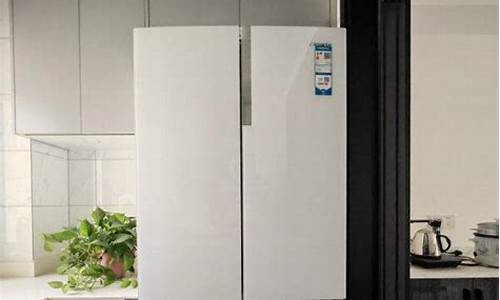 家用冰箱什么品牌好_家用冰箱什么品牌好又便宜_1