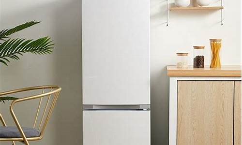 东芝电冰箱和松下电冰箱哪个好_东芝电冰箱和松下电冰箱哪个好一点