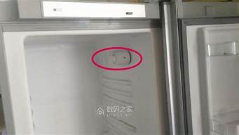 三星冰箱温控器在哪里_三星冰箱温控器在哪