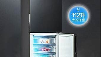 家用冰箱哪种牌子好_家用冰箱哪种牌子好一