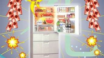 海乐冰箱_海尔冰箱尺寸大全一览表