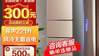 容声电冰箱 双门167升_容声电冰箱 双门167升价格