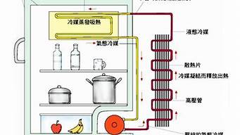 电冰箱的工作原理利用一种制冷剂_电冰箱的工作原理利用一种制冷剂制冷方式