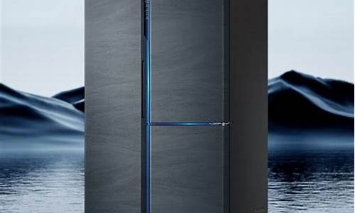 海尔双门冰箱 206_海尔双门冰箱冷藏温度多少合适